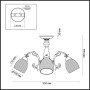 Потолочная люстра Ninella 3092/3